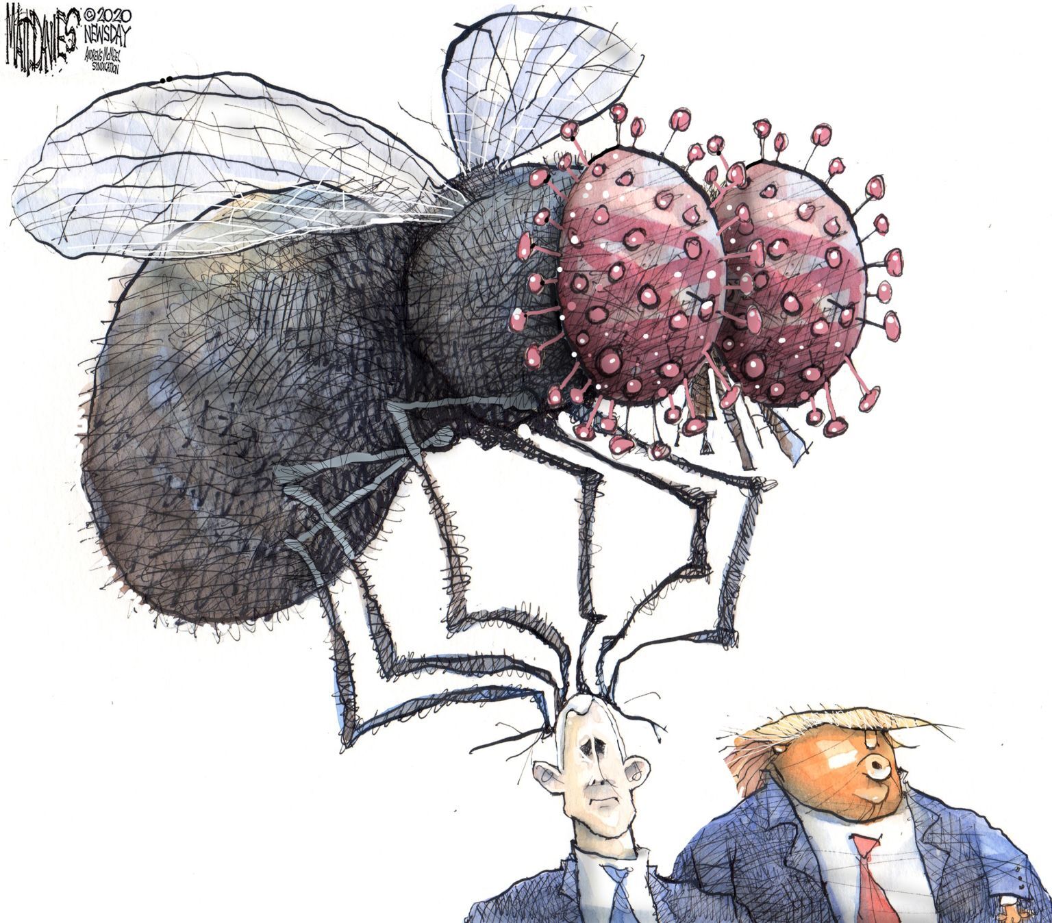 The fly in the room